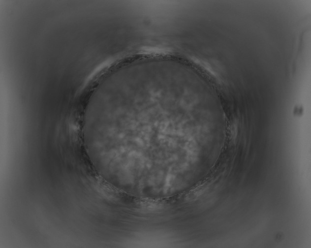 X0000092271254200710051332