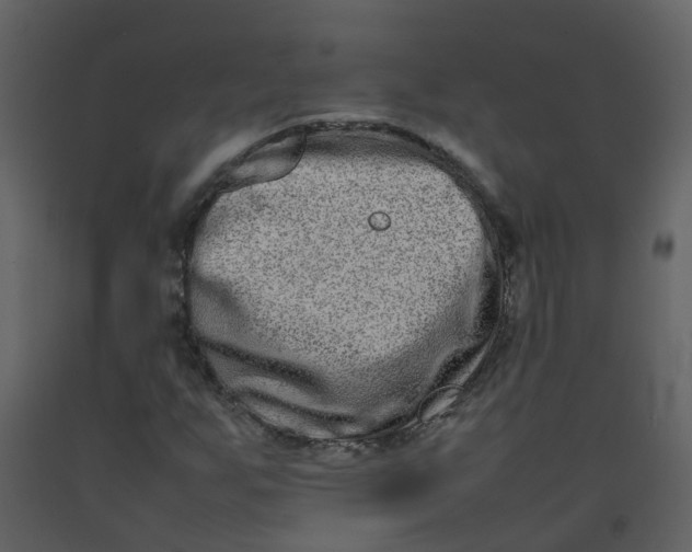 X0000092271255200710051332