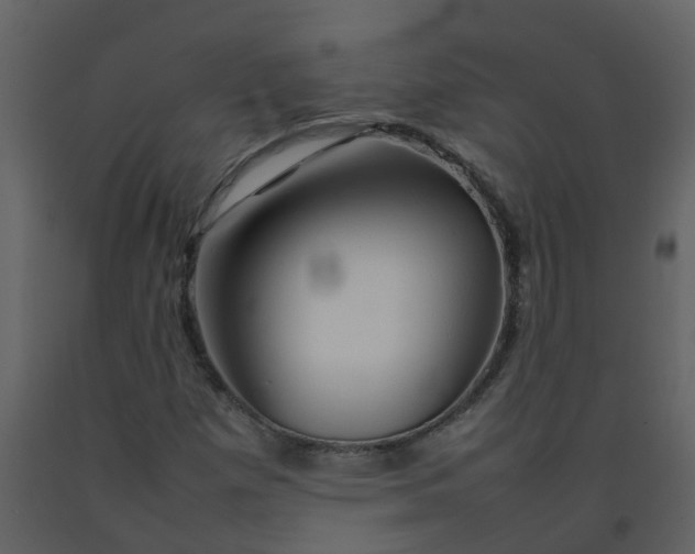 X0000092271257200710051332