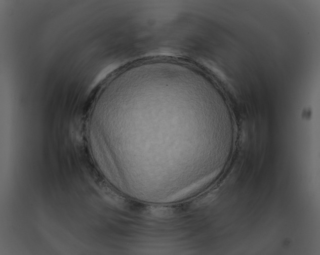 X0000092271258200710051332