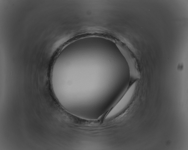 X0000092271261200710051332