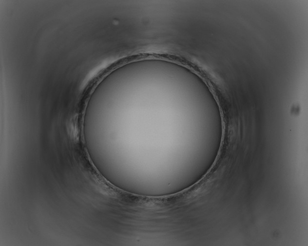 X0000092271262200710051332