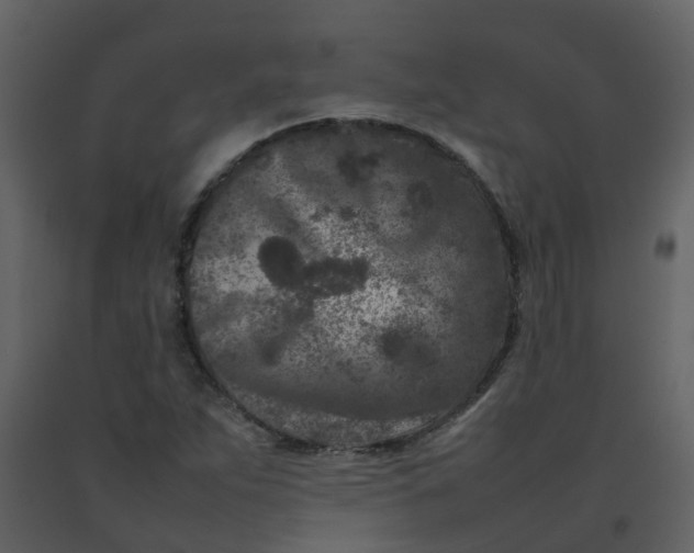 X0000092271263200710051332