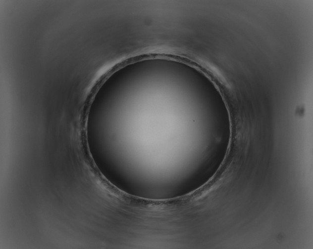 X0000092271264200710051332