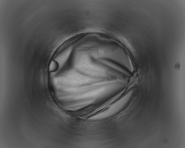 X0000092271268200710051332