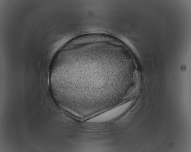 X0000092271269200710051332