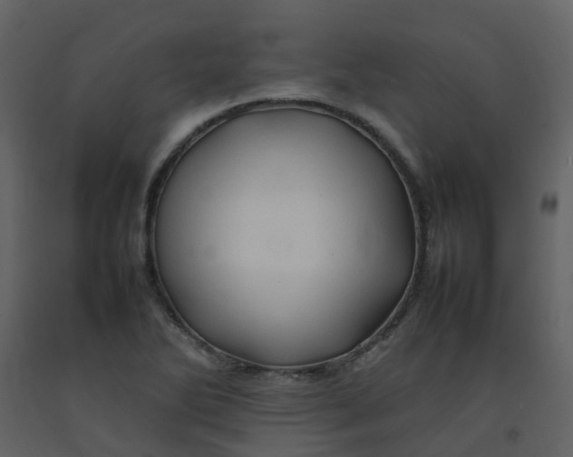 X0000092271270200710051332