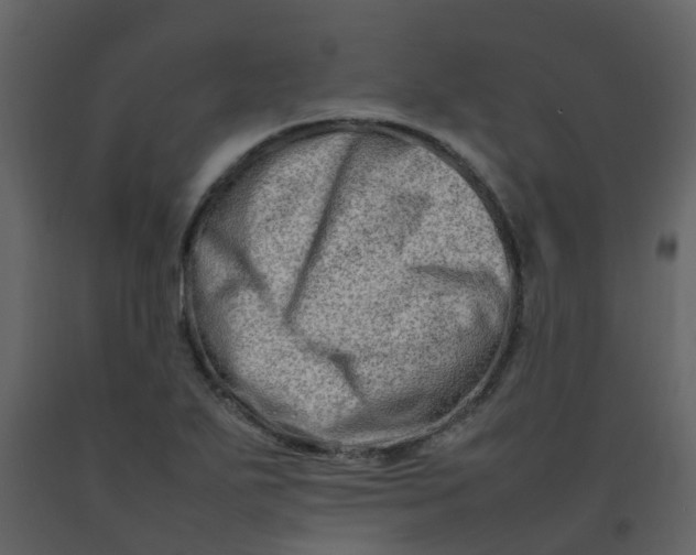 X0000092271271200710051332