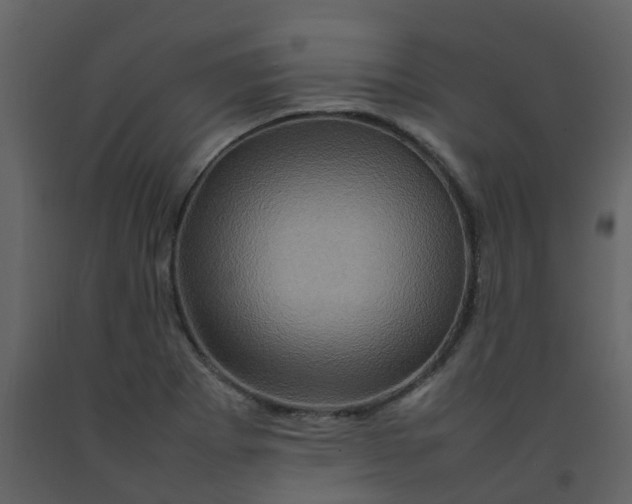 X0000092271273200710051332