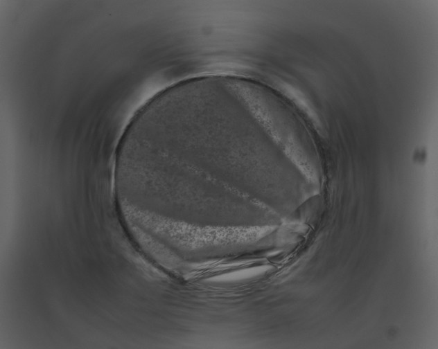 X0000092271275200710051332