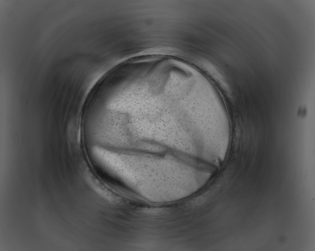 X0000092271276200710051332