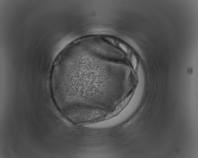 X0000092271277200710051332