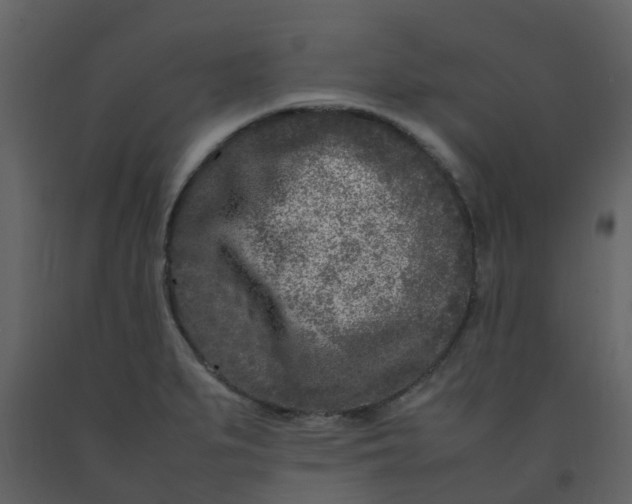 X0000092271279200710051332