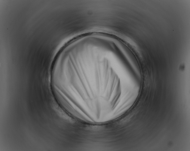 X0000092271280200710051332