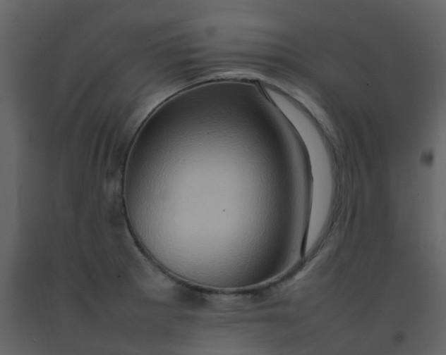 X0000092271281200710051332