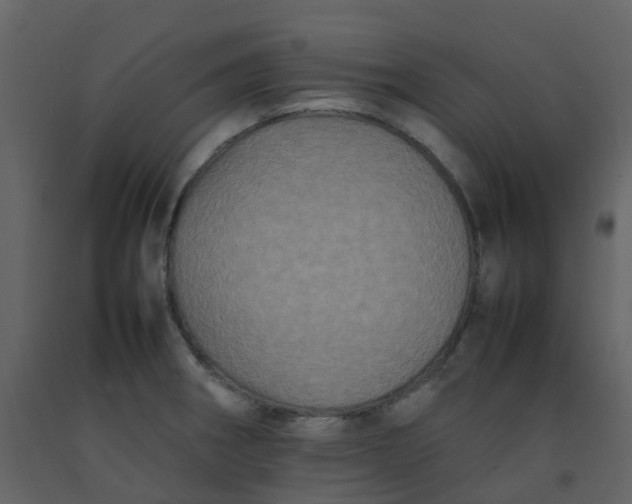 X0000092271282200710051332