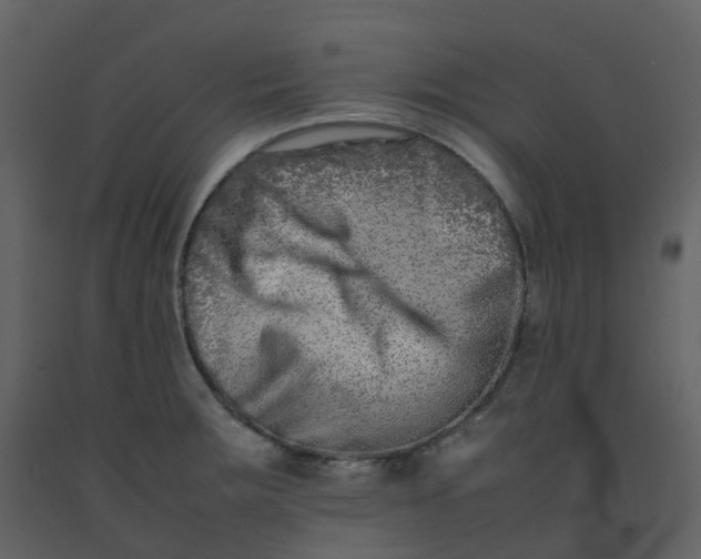 X0000092271283200710051332