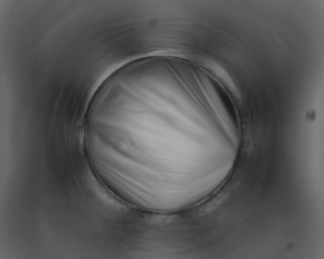 X0000092271284200710051332