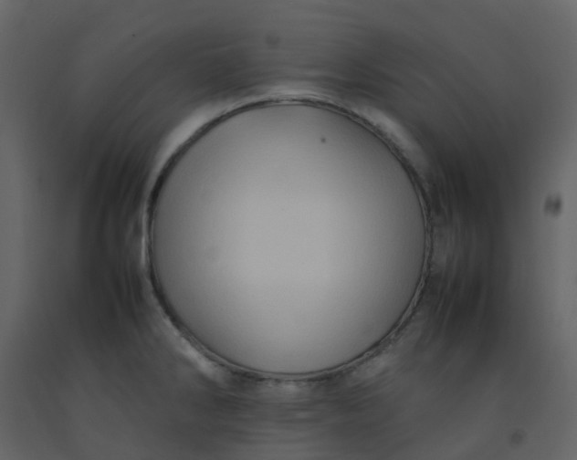 X0000092271286200710051332