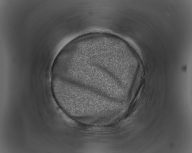 X0000092271287200710051332