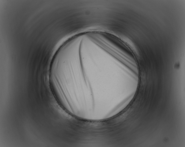 X0000092271288200710051332