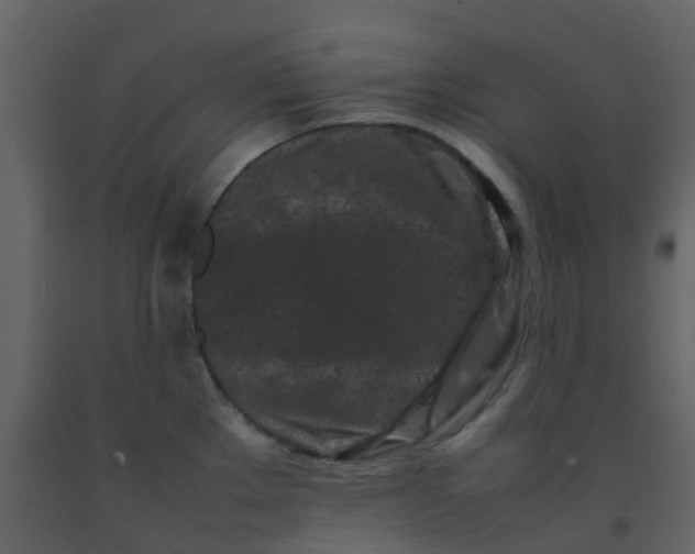 X0000092271289200710051332