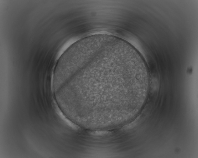 X0000092271290200710051332