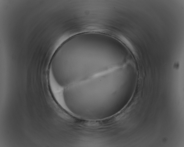 X0000092271291200710051332