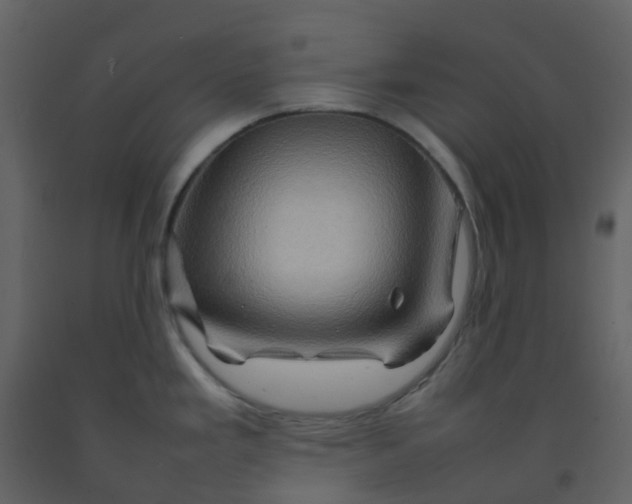 X0000092271293200710051332