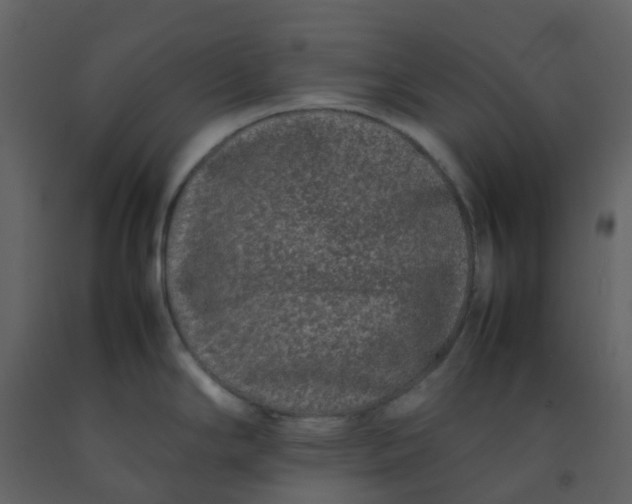 X0000092271294200710051332