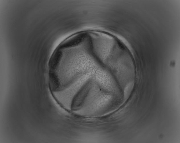 X0000092271295200710051332