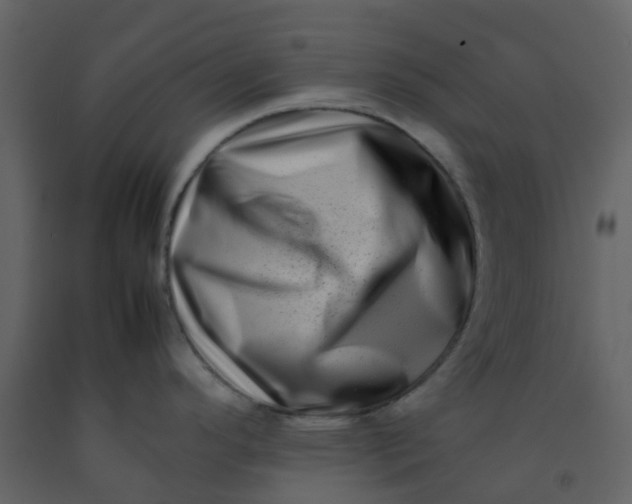 X0000092271296200710051332