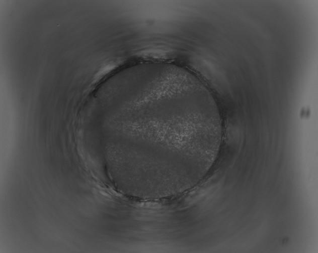 X0000092271297200710051331