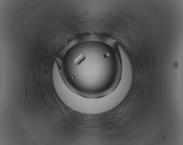 X0000092271298200710051331