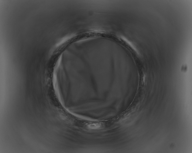 X0000092271303200710051331