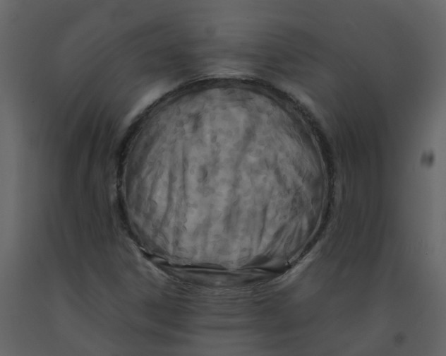 X0000092271306200710051331