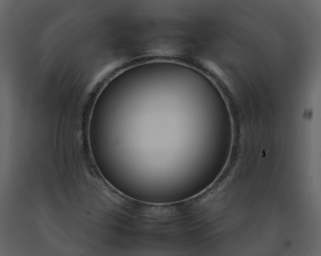 X0000092271307200710051331