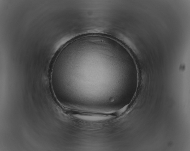 X0000092271308200710051331