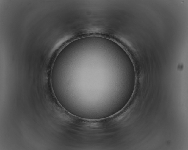 X0000092271309200710051331