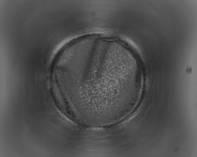 X0000092271310200710051331