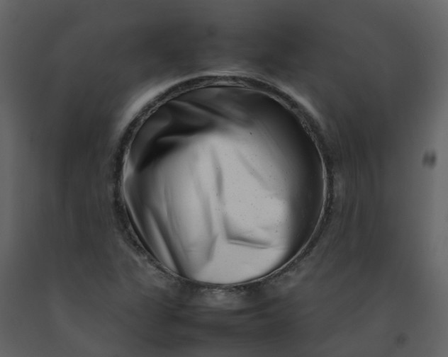 X0000092271311200710051331