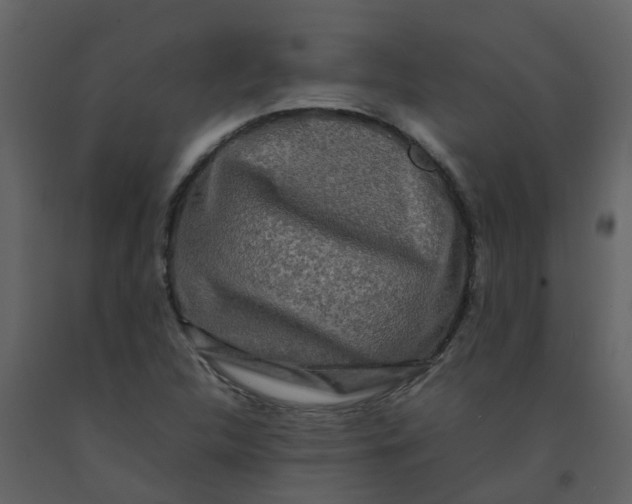 X0000092271312200710051331