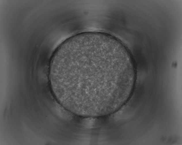 X0000092271314200710051331