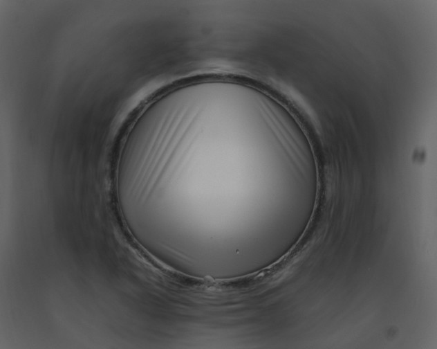 X0000092271318200710051331