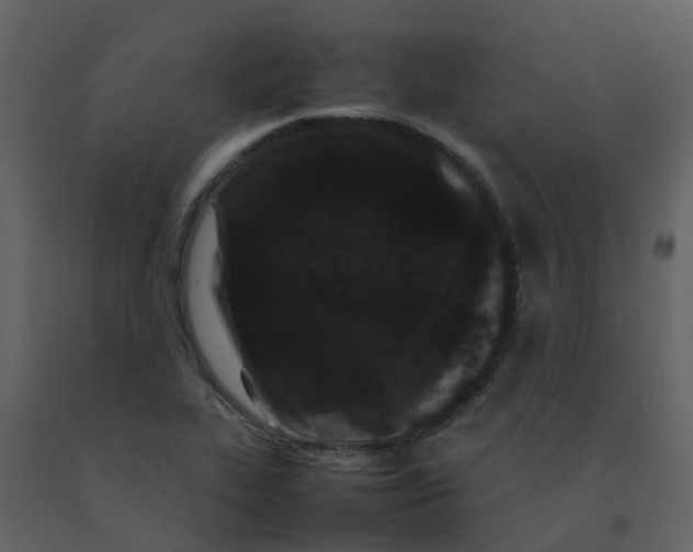 X0000092271319200710051331