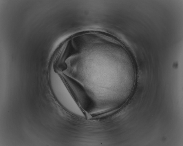 X0000092271320200710051331