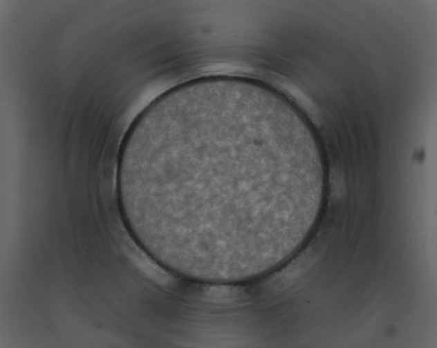 X0000092271322200710051331