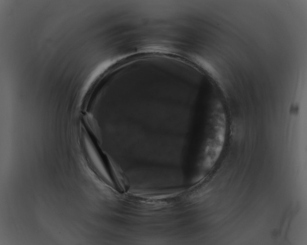 X0000092271323200710051331