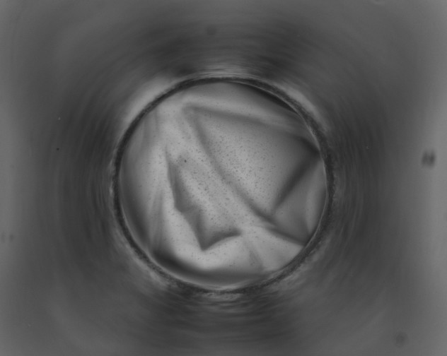 X0000092271325200710051331