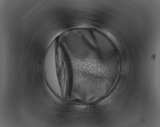 X0000092271329200710051331